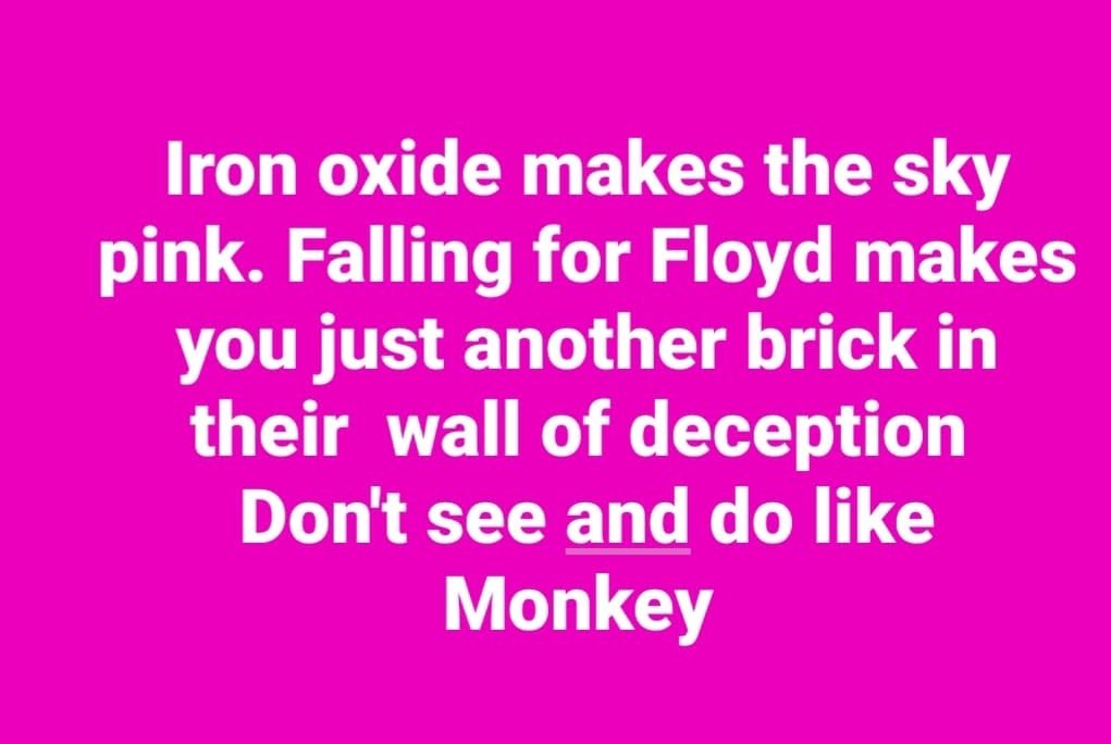 Don’t see and Do like monkey
