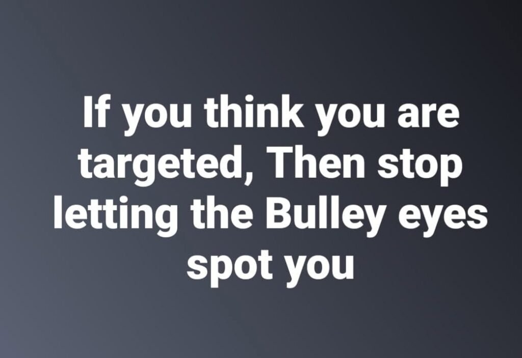Bully and the bullseye
