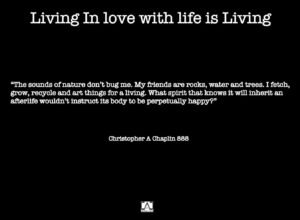 Living in Love with lIfe is Living