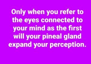 First Eye