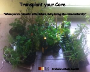 Transplant your Core